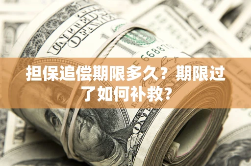 济南担保追偿期限多久？期限过了如何补救？